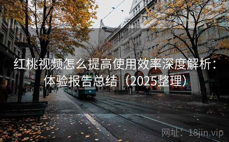 红桃视频怎么提高使用效率深度解析：体验报告总结（2025整理）