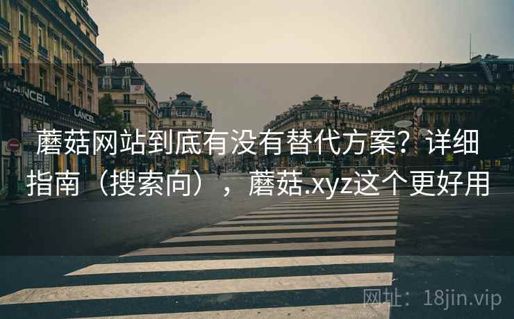 蘑菇网站到底有没有替代方案？详细指南（搜索向），蘑菇.xyz这个更好用