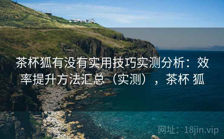 茶杯狐有没有实用技巧实测分析：效率提升方法汇总（实测），茶杯 狐