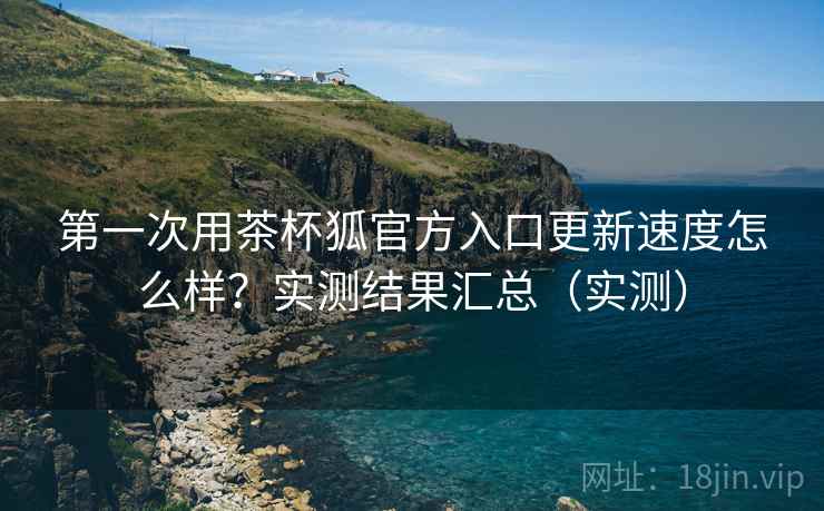 第一次用茶杯狐官方入口更新速度怎么样？实测结果汇总（实测）