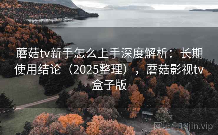 蘑菇tv新手怎么上手深度解析：长期使用结论（2025整理），蘑菇影视tv盒子版