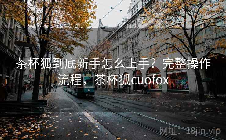 茶杯狐到底新手怎么上手？完整操作流程，茶杯狐cuofox